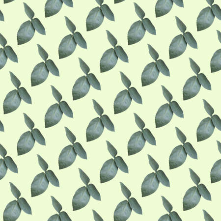 Rose leaves background.Seamless pattern.の写真素材
