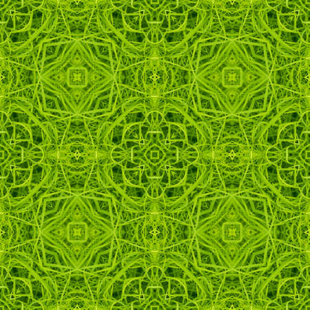 Abstract decorative plant background. Seamless pattern.