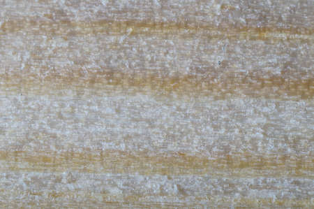 Wood texture background. Macro close up.