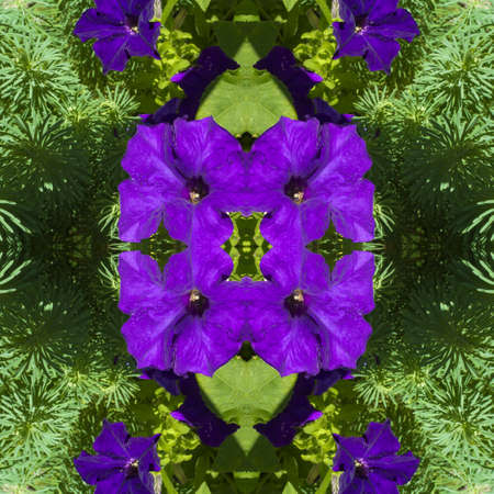 Abstract decorative flower background. Seamless colorful pattern.の写真素材