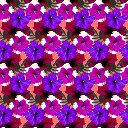Seamless pattern with red, purple, violet Petunia flowers and green leaves on red background. Endless colorful floral texture. Raster illustration.の写真素材