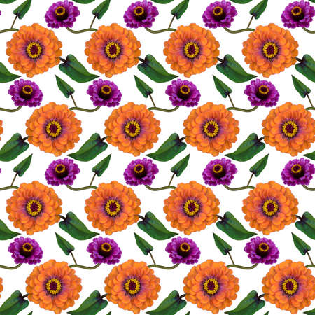 Seamless pattern with orange, purple Zinnia flowers and green leaves on white background. Endless colorful floral texture. Raster illustration.の写真素材