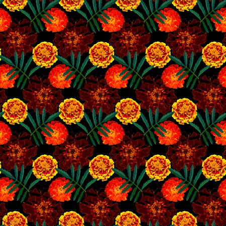 Seamless pattern with brown, orange, yellow Tagetes patula (French marigold) flowers and green leaves on black background. Endless colorful floral texture. Raster illustration.の写真素材