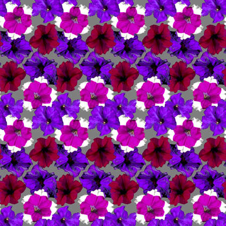 Seamless pattern with red, purple, violet Petunia flowers on grey background. Endless colorful floral texture. Raster illustration.の写真素材