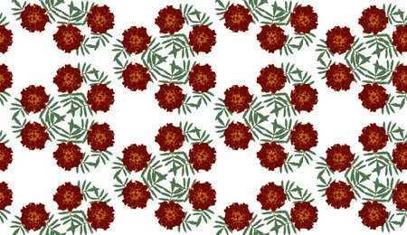 Seamless pattern with brown Tagetes patula (French marigold) flowers and green leaves on white background. Endless colorful floral texture. vector illustration.のイラスト素材