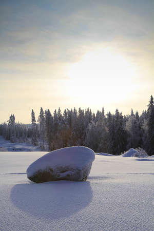 backlit snow covered boulder in a clearing with forest in backgroundの写真素材