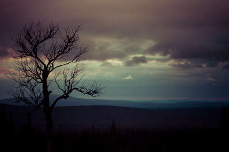 Stormy sky landscape with a dead tree silhouette in foreground.の写真素材