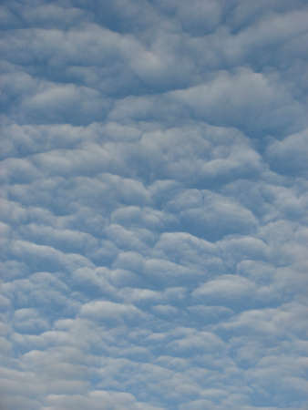 Blue Sky filled with white fluffy cloudsの写真素材