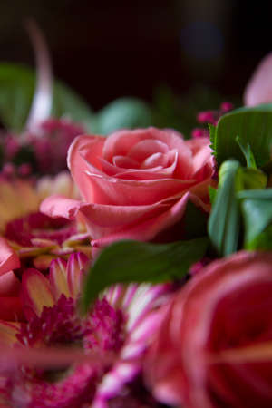 Bouquet of different flowers with pink rose in focus.の写真素材