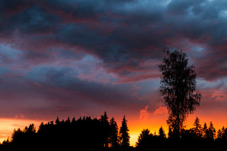 Sunset landscape with stormy clouds and silhouettes of trees.の写真素材