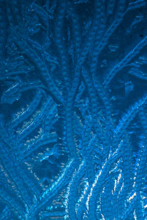 Blue frozen glass.の写真素材