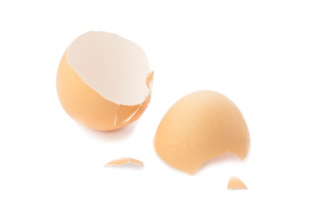 Broken empty egg shell on a white background.