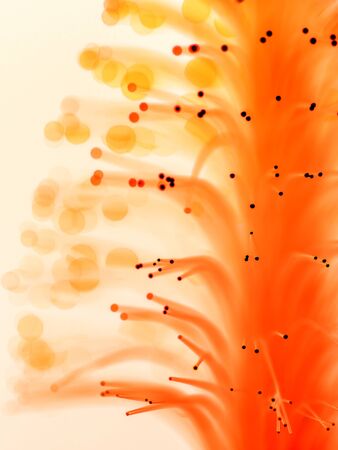 Orange fiber optic background. の写真素材