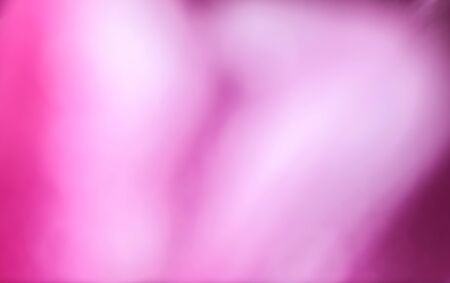 Abstract pink gradient background.の写真素材