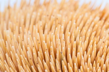   Close up of the toothpicks background の写真素材