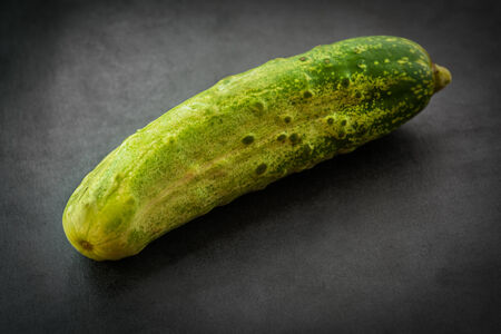Cucumber on dark background. Selective focus with shallow depth of field.の写真素材