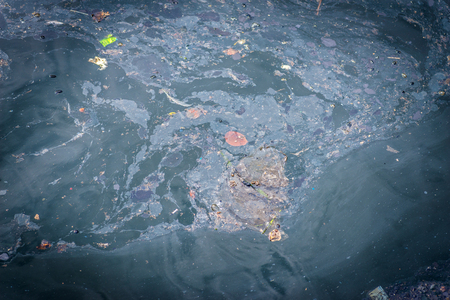 Oil and garbage pollution in the water. Selective focus.の写真素材