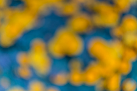 Abstract circular bokeh background.の写真素材