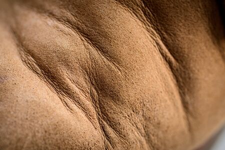 Leather (Nubuck) shoes, focus on details. Macro shot with shallow depth of field.の写真素材