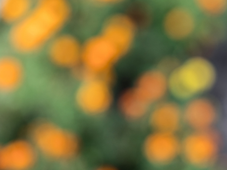 Abstract circular bokeh natural background.の写真素材