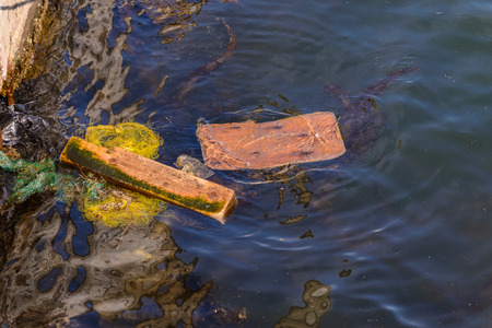 Pollution the sea surface.の写真素材