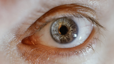 Blue man eye with contact lens, macro shot. Shallow depth of field.の写真素材