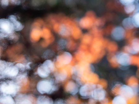 Colorful autumn bokeh - nature background.の写真素材