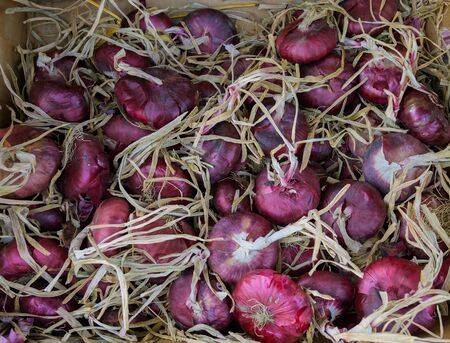 Food in a supermarket - onion.の写真素材