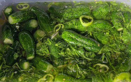 Pickled cucumbers in plastic box in a street market.の写真素材