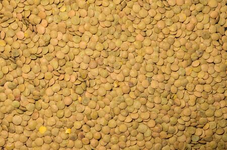Closeup lentils seeds as natural background.の写真素材