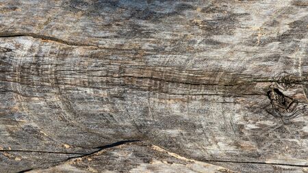 Wooden plank. Natural texture for background.の写真素材