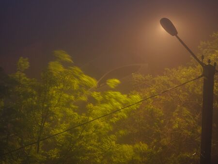 Street lantern shines shining in the night fog.の写真素材