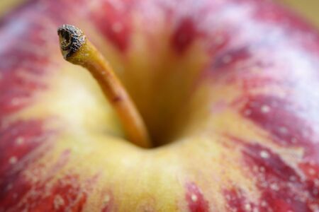 Apple on orange background. Selective focus with shallow depth of field.の写真素材