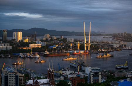 VLADIVOSTOK, RUSSIA - JULY 26, 2020: The parade of warships during the celebration of the day of the navy at night.のeditorial素材