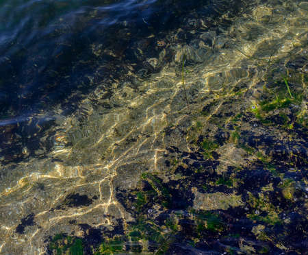 Sea bottom with pebbles through clear water. Natural background.の写真素材