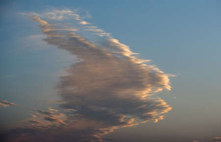 Dramatic sunset sky with an animal shaped cloud.の写真素材