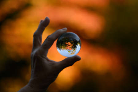 Hand held lensball in autumn forest. Selective focus with shallow depth of field.の写真素材