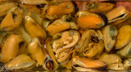 Mussels in oil - healthy seafood. Food background.の写真素材