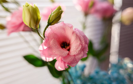 Beautiful bouquet of pink flowers in a vase.の写真素材