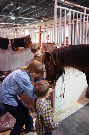 Houston, Texas - feb 24 - 26, 2011: Houston livestock Show and Rodeo. World's Championship Bar-B-Que Contestのeditorial素材