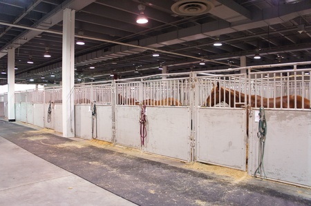 Houston, Texas - feb 24 - 26, 2011: Houston livestock Show and Rodeo. World's Championship Bar-B-Que Contestのeditorial素材