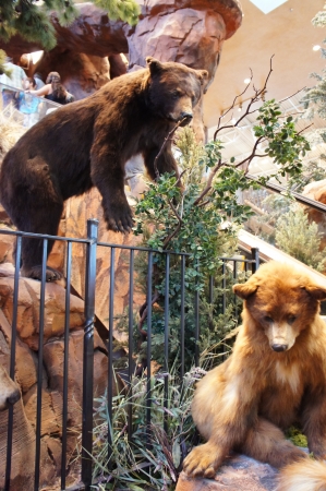 Las Vegas, Nevada - September 1 2011 : Bass Pro Shops Las Vegas, Nevada Shopping at the Silverton Casinoのeditorial素材