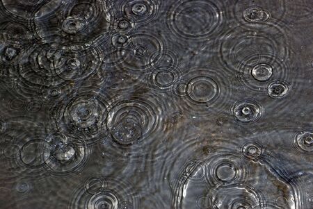 Raindrops falling into polluted puddle