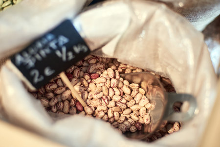 Raw Beans legumes in bio cultureの写真素材