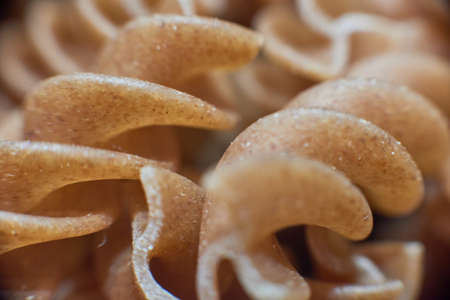 Macro photo of spelt dough paste Whole bulk spelt to sell in ECO store