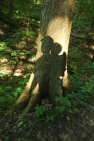parent and child backpacking together in the woodsの写真素材