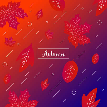 vector background autumn design with elegant modern color design.のイラスト素材
