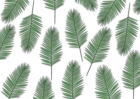 Green Areca Palmのイラスト素材