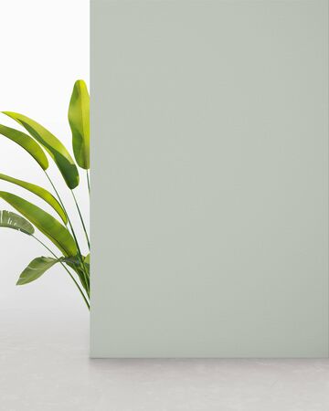 Laurel green colored wall with plant, background for product presentationの写真素材