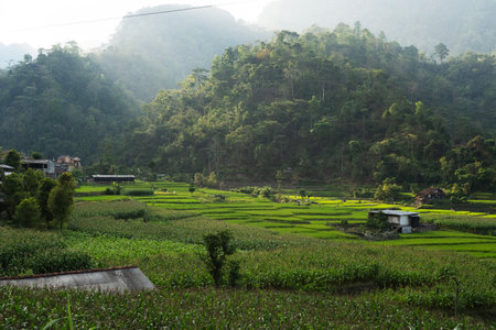 Lush fields and terraces surround small rural houses in a hazy mountain valley landscape.の写真素材
